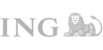 Partner Logo: ING
